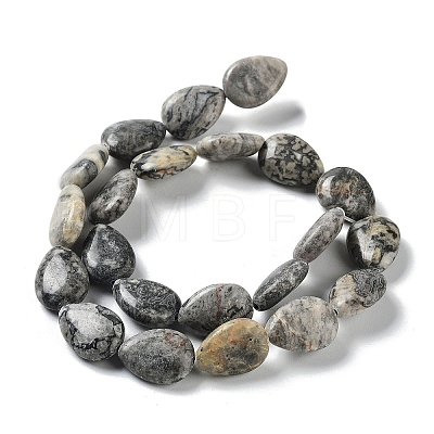 Natural Teardrop Map Stone/Picasso Stone/Picasso Jasper Beads Strands G-L242-17-1