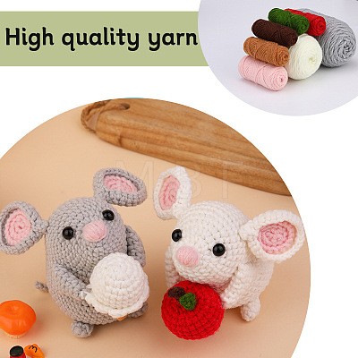 Two Mini  Mice Crochet Sets PW-WG48550-01-1