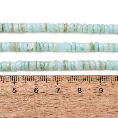 Dyed Natural Freshwater Shell Beads Strands SH-CBA2978-05C-1