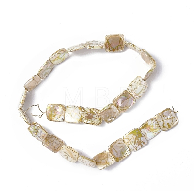 Drawbench Style Natural Freshwater Shell Beads Strands SHEL-C003-01-1