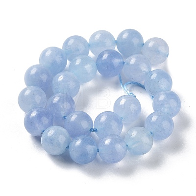 Dyed Natural Malaysia Jade Beads Strands G-G021-02B-07-1