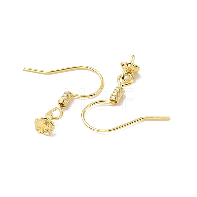 Rack Plating Brass Earring Hooks KK-F839-024A-G-1