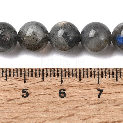 Natural Labradorite Beads Strands G-J120-28-8mm-A-1