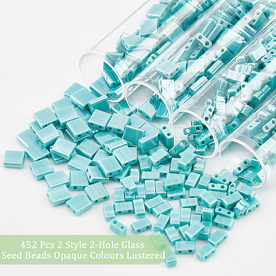  452Pcs 2 Style 2-Hole Glass Seed Beads SEED-NB0001-73-1