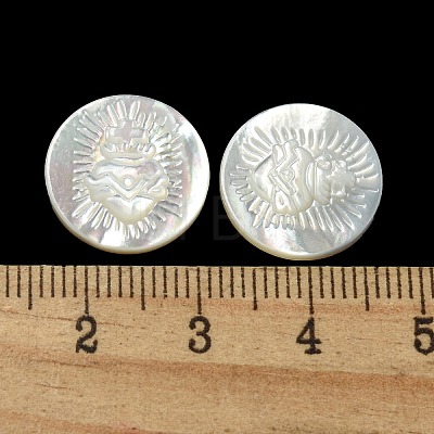 Carved Natural White Shell Cabochons SSHEL-N038-06B-08-1