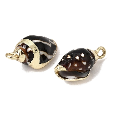 Brass & Natural Shell Pendants SH-CBA27C9-13-1