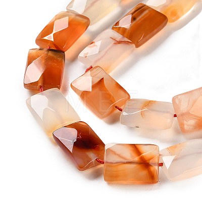 Natural Agate Beads Strands G-H024-G01-01-1