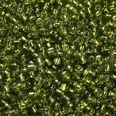 8/0 Glass Seed Beads X2-SEED-A005-3mm-24-1