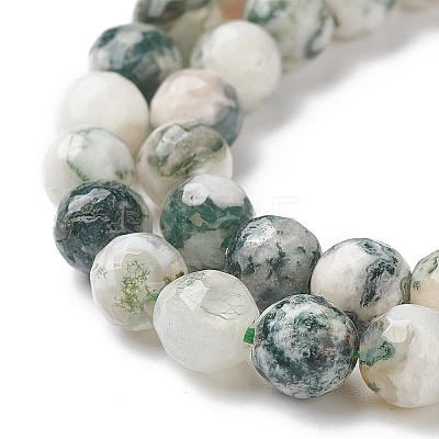 Natural Tree Agate Beads Strands G-S281-15-6mm-1