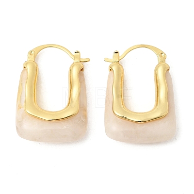 Brass Resin Hoop Earrings EJEW-P333-11B-G01-1