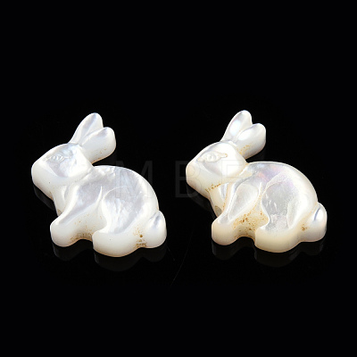 Natural White Shelll Beads SSHEL-N032-60-1