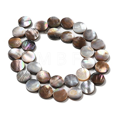 Natural Sea Shell Beads Strands SHEL-K006-34-1