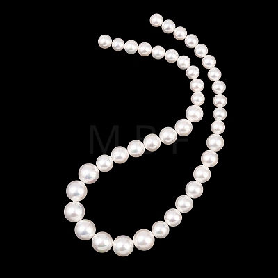 Electroplated Shell Pearl Graduated Beads Strands BSHE-C011-04-1