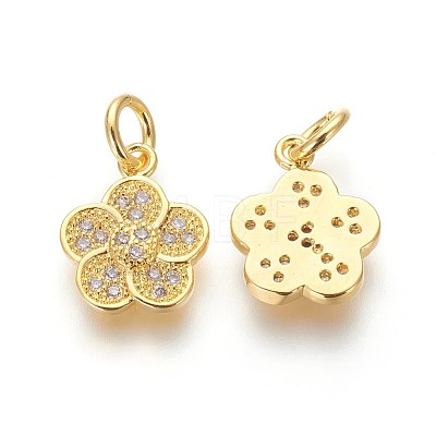 Brass Micro Pave Cubic Zirconia Charms ZIRC-J021-17G-RS-1