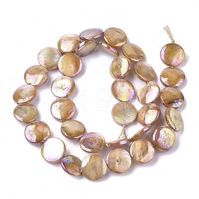 Freshwater Shell Beads Strands X-SHEL-S274-52C-1