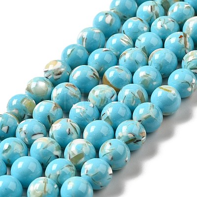 Synthetic Turquoise and Sea Shell Assembled Beads Strands G-D482-01E-07-1