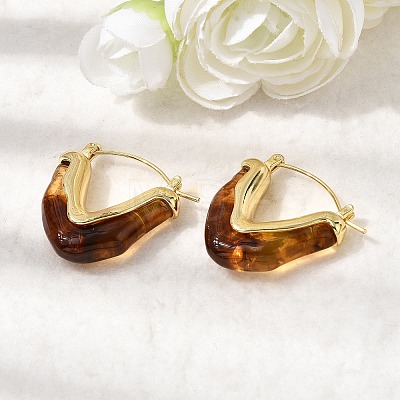 Brass Resin Hoop Earrings EJEW-P333-11A-G02-1