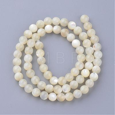 Natural Sea Shell Beads Strands SSHEL-S252-03-1