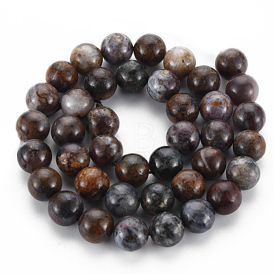 Natural Pietersite Beads Strands G-R446-10mm-13-1