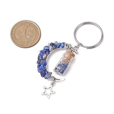 5Pcs 5 Styles Natural Lapis Lazuli & Red Jasper & Amazonite & Tiger Eye & White Moonstone Keychain KEYC-JKC00947-1