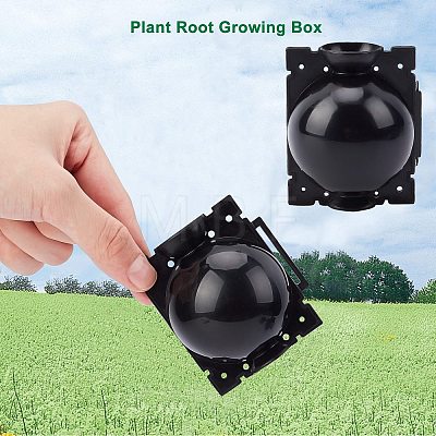 Polypropylene(PP) Plant Root Growing Box AJEW-GA0001-37B-1