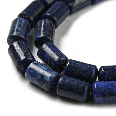 Natural Lapis Lazuli Beads Strands G-M420-E02-03-1