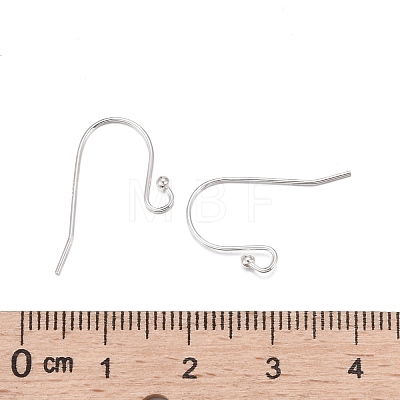 925 Sterling Silver Earring Hooks STER-K167-051A-S-1