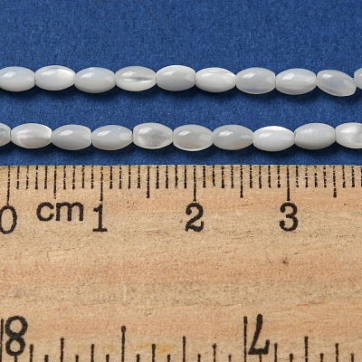 Natural Trochus Shell Beads Strands SSHEL-H072-02A-1