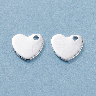 201 Stainless Steel Stamping Blank Tag Pendants STAS-I100-10S-1