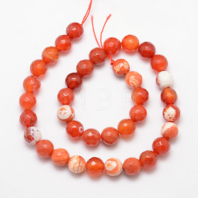 Natural Fire Crackle Agate Bead Strands X-G-K166-07F-10mm-14-1