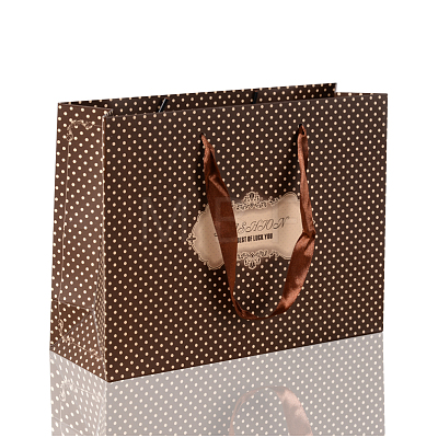 Rectangle Polka Dot Paper Bags CARB-F001-15E-1