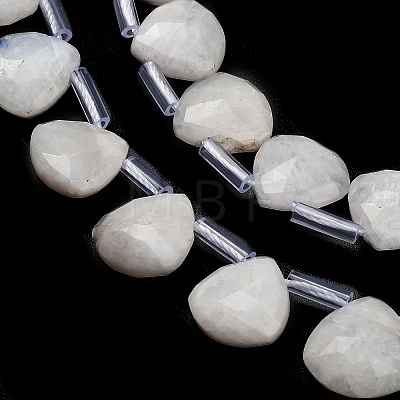 Natural Rainbow Moonstone Beads Strands G-C292-A01-01-1