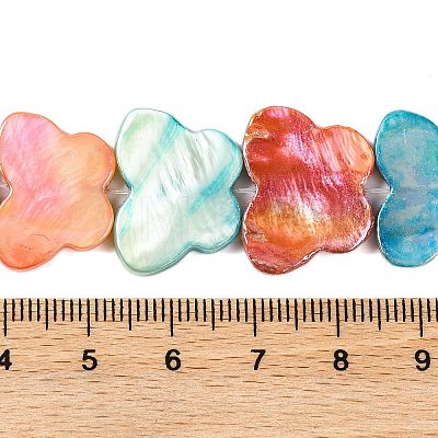 Natural Freshwater Shell Beads Strands BSHE-S304-01-1