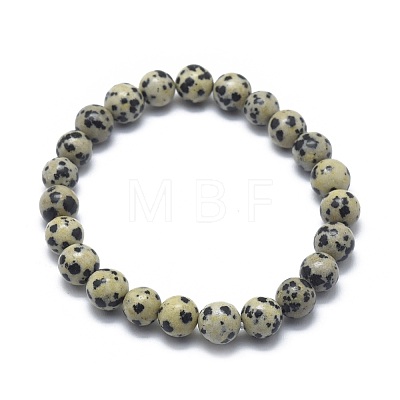 Natural Dalmatian Jasper Bead Stretch Bracelets BJEW-K212-B-014-1