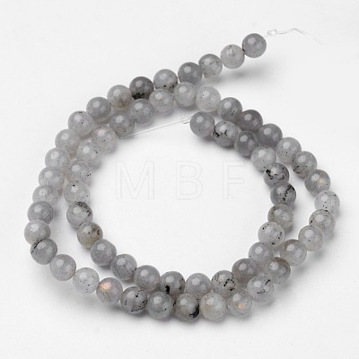 Natural Labradorite Beads Strands G-D809-07-6mm-1