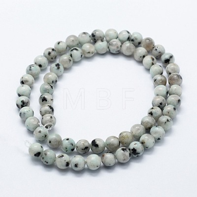 Natural Sesame Jasper/Kiwi Jasper Beads Strands G-I199-29-10mm-1