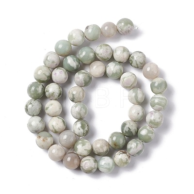 Natural Peace Jade Beads Strands G-G905-07-1