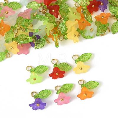50Pcs Transparent Acrylic Pendants PALLOY-FS00043-06-1