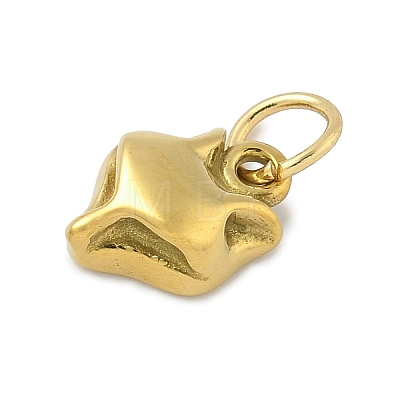 304 Stainless Steel Charms STAS-P391-01B-G-1