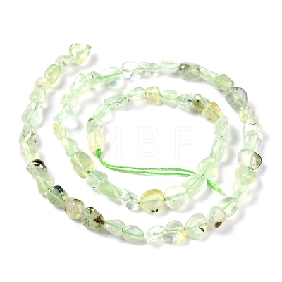 Natural Prehnite Beads Strands G-G018-64-1