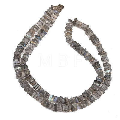 Natural Labradorite Beads Strands G-Z152-F04-02-1