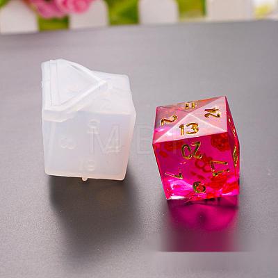 Silicone Dice Molds X-DIY-L021-21-1