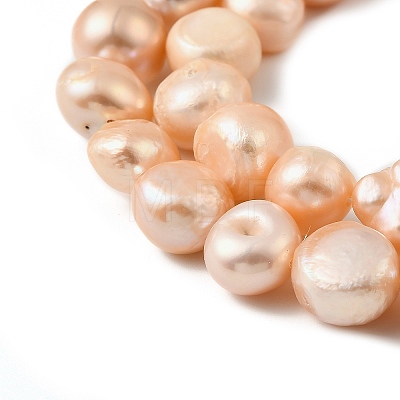 Natural Cultured Freshwater Pearl Beads Strands PEAR-P064-19L-06E-1