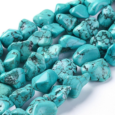 Natural Magnesite Beads Strands TURQ-G152-D01-1
