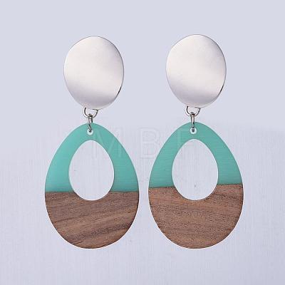 Resin & Wood Dangle Earrings EJEW-JE03023-1