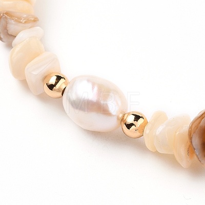 Chip Natural Shell Stretch Beaded Bracelets BJEW-JB05727-01-1