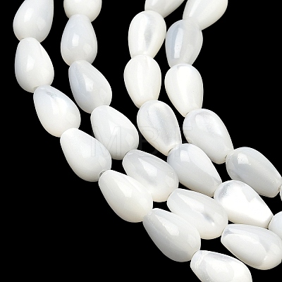 Natural White Shell Beads Strands SH-CBAF49A-03-1