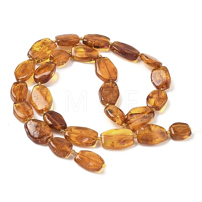 Natural Amber Beads Strands G-L095-C01-04-1