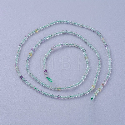 Natural Fluorite Beads Strands G-F619-01-2mm-1