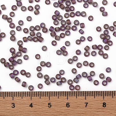 TOHO Round Seed Beads SEED-JPTR08-0166BF-1